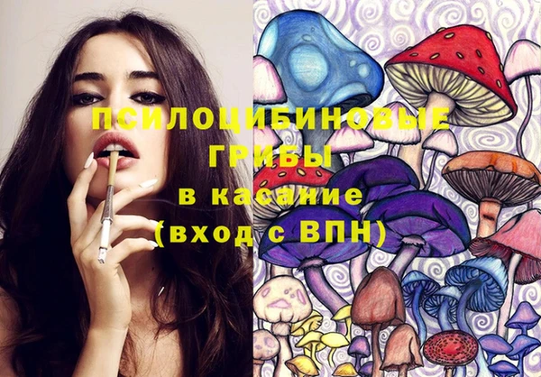 ALPHA PVP Куйбышев