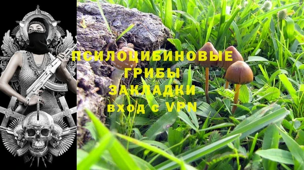 кристаллы Осинники