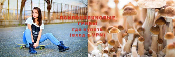 каннабис Осташков
