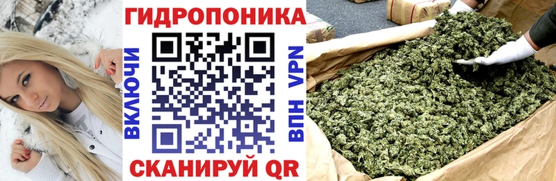 где найти Боровск Канабис сатива
